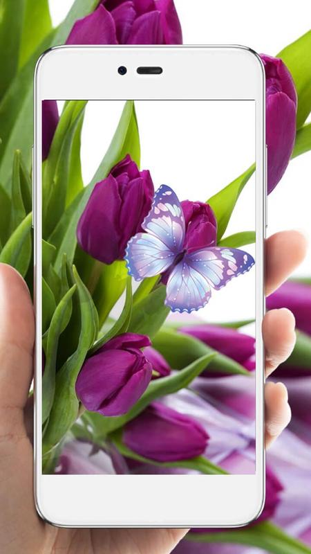 purple tulip hd live wallpaper apk download free personalization