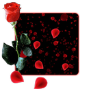 Red Rose Bouquet HD Wallpaper APK