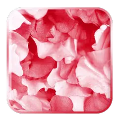 Rose Petal HD Wallpaper