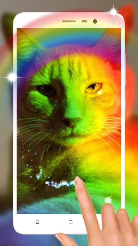 rainbow kitten wallpaper cat