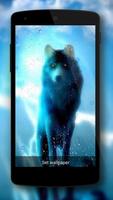 Wild Wolf Screen Affiche