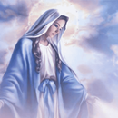 Virgin mary live wallpaper APK