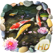 ”Koi Fish Live Wallpaper