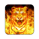 Fire Lion Live wallpaper APK