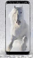 Running Horse pictures and Live wallpaper screenshot 1