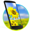 Sunny Sunflower 2D Android Live wallpaper APK