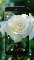 white flowers Live wallpaper اسکرین شاٹ 3