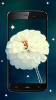 white flowers Live wallpaper اسکرین شاٹ 1