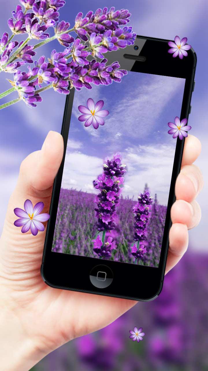 lilac lavender live wallpaper for android apk download apkpure com