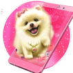 Cute Fluffy Puppy Live Wallpaper