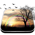 Day Night Live Wallpaper
