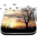 Day Night Live Wallpaper APK