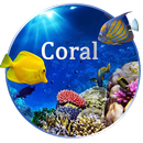 APK Coral Reef Live Wallpaper