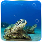 Tortoise آئیکن