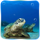 Tortoise Live Wallpaper aplikacja