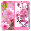 Blossom Sakura Live Wallpaper APK