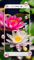 Lotus Flower Bubble Live Wallpaper الملصق