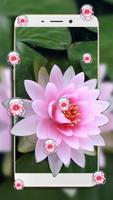 Lotus Flower Bubble Live Wallpaper 截圖 2