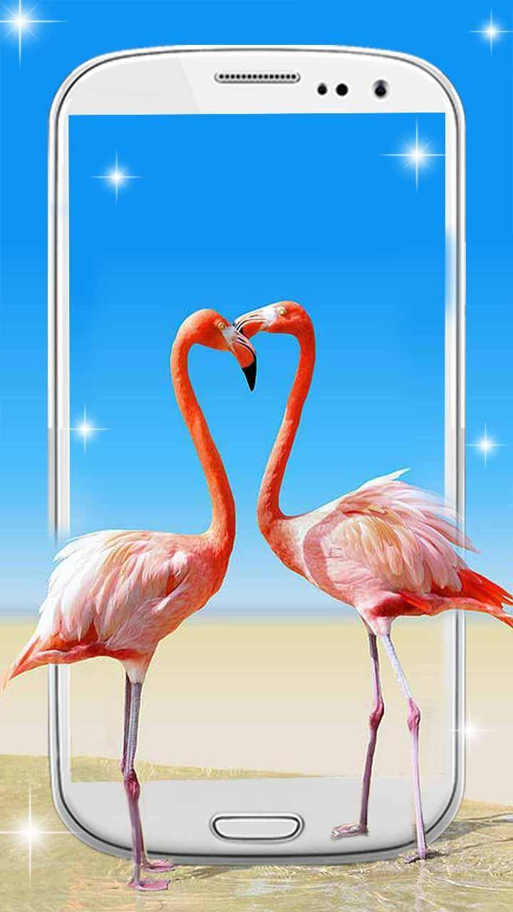 Android 用の Charming Flamingo Live Wallpaper Apk をダウンロード