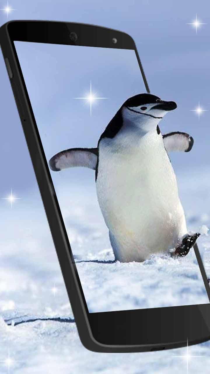 Android 用の Snow Mini Penguin Live Wallpaper Apk をダウンロード