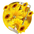 Sunflowers wallpapers icône
