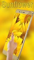 Sunflowers wallpapers Affiche