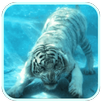 Wild Diving Tiger HD Wallpaper APK