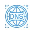 DNS Record Lookup