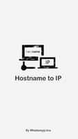 Domain Name to IP, Server 2 IP poster