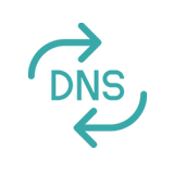 Reverse IP DNS Lookup