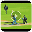 ”Cricket Live Buzz TV