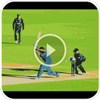 Cricket Live Buzz TV icono