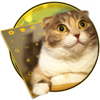 3D Live chubby Cute Kitty Keyboard icon