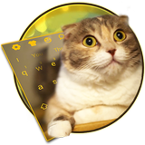 3D Live chubby Cute Kitty Keyboard icône