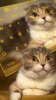 3D Live chubby Cute Kitty Keyboard পোস্টার