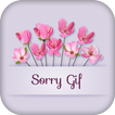 Sorry Gifs Collection 2017