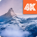 Winter Wallpapers 4K ⛄️ APK