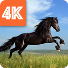Horses Wallpapers 4K 🐎 آئیکن