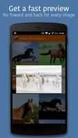 Horses Wallpapers 4K 🐎 اسکرین شاٹ 3