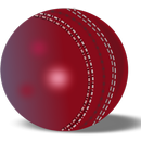 Cricket Livescore Widget APK
