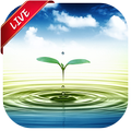 Water Drop Live Wallpaper