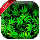 APK Weed Live Wallpaper