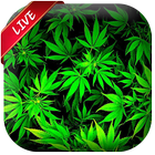 Weed Live Wallpaper icon