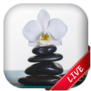 Zen Live Wallpaper aplikacja