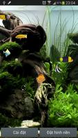 1 Schermata Aquarium Live Wallpaper