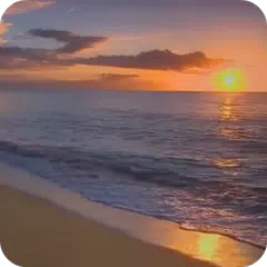 download Sunset Beach Live Wallpaper APK