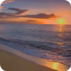 Sunset Beach Live Wallpaper icône