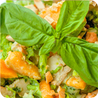 Salad recipes-icoon