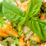 Salad recipes ikon