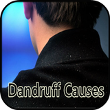 Dandruff Causes icon